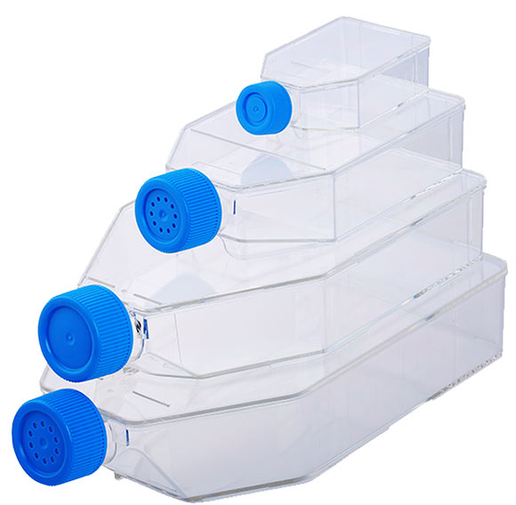 Cell culture flasks & plates